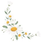 Luontaishoitola Camomilla